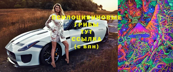 соль курить ск Алзамай