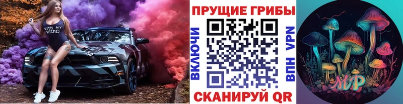 Галлюциногенные грибы Magic Shrooms Заволжск
